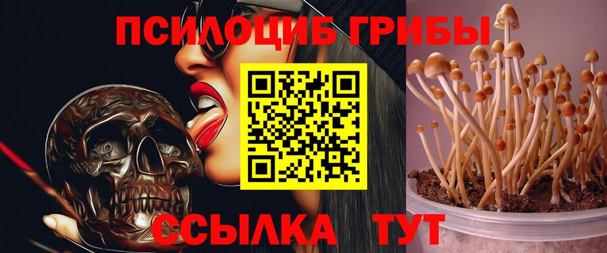 Галлюциногенные грибы мицелий Шарыпово